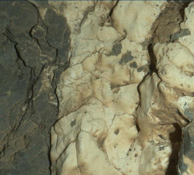 This view from the Mars Hand Lens Imager (MAHLI) on the arm of NASA's Curiosity Mars rover is a close-up of a two-tone mineral vein at a site called "Garden City" on lower Mount Sharp.  The area shown is roughly one inch (2.5 centimeters) wide. The image was taken at night, using illumination from MAHLI's light-emitting diodes, during the 935th Martian day, or sol, of Curiosity's work on Mars (March 25, 2015).  The vein includes both light-toned and dark-toned materials. The whiter material appears to have ripped up and incorporated portions of both the darker vein material (black arrows in Figure 1) and a third material (white arrow in Figure 1). The Curiosity mission's examination of material in these veins may provide clues about multiple episodes of fluids moving through fractured rock at this site. The fluid movement through fractures occurred later than wet environmental conditions in which the host rock formed, before it hardened and cracked.  http://photojournal.jpl.nasa.gov/catalog/PIA19162