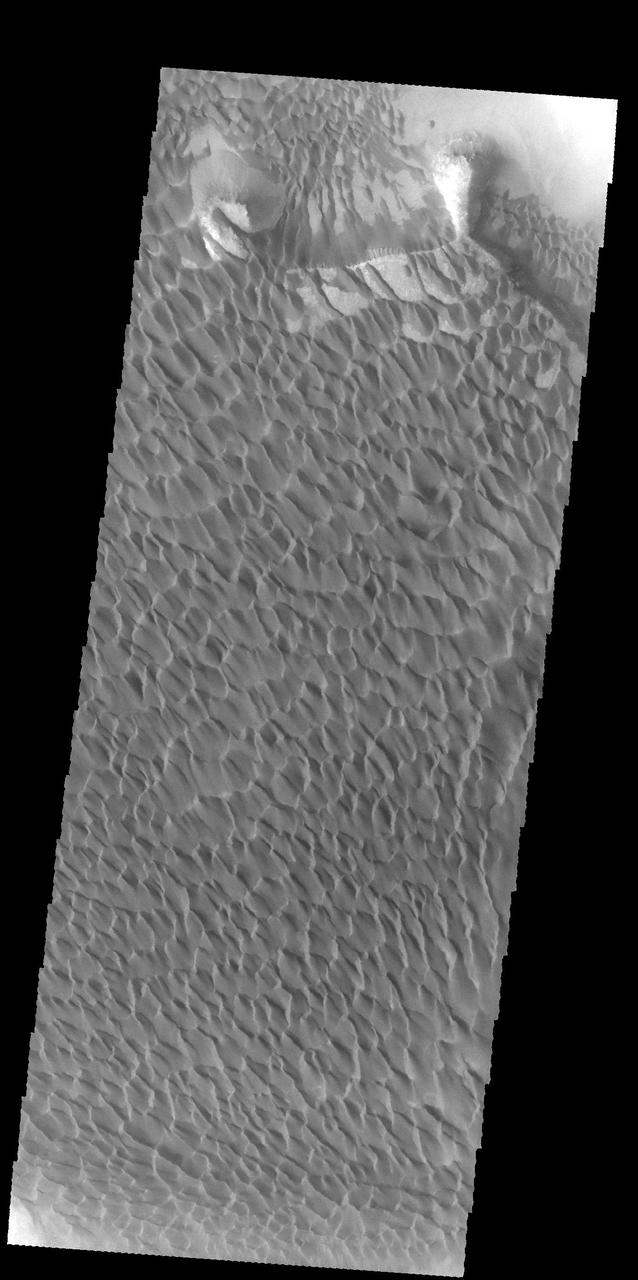 This image from NASA 2001 Mars Odyssey spacecraft shows a large portion of the dune field located in the floor of Rabe Crater. Orbit Number: 58024 Latitude: -43.6968 Longitude: 34.8234 Instrument: VIS Captured: 2015-01-12 09:48 http://photojournal.jpl.nasa.gov/catalog/PIA19207