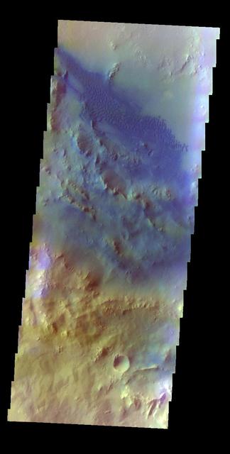 The THEMIS VIS camera contains 5 filters. The data from different filters can be combined in multiple ways to create a false color image. This false color image from NASA 2001 Mars Odyssey spacecraft shows dunes on the floor of Pettit Crater.  Orbit Number: 4375 Latitude: 11.6651 Longitude: 185.891 Instrument: VIS Captured: 2002-12-09 18:22  http://photojournal.jpl.nasa.gov/catalog/PIA19211