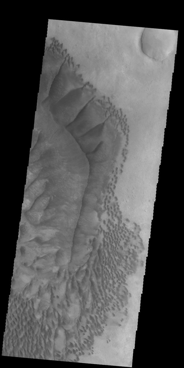 This image from NASA 2001 Mars Odyssey spacecraft was collected at the same time as yesterday IR image. The dunes are dark in the VIS image, because the material is darker in color than the surrounding material.  Latitude: -54.3016 Longitude: 13.1403 Instrument: VIS Captured: 2015-01-21 17:09  http://photojournal.jpl.nasa.gov/catalog/PIA19229