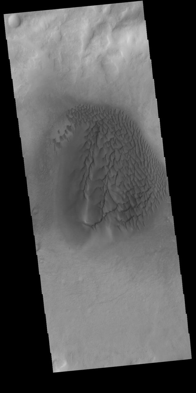This VIS image captured by NASA 2001 Mars Odyssey spacecraft was collected at the same time as yesterday IR image. The dunes are darker in visible wavelengths than the surrounding material.  Latitude: -52.2059 Longitude: 33.364 Instrument: VIS Captured: 2015-01-29 09:20  http://photojournal.jpl.nasa.gov/catalog/PIA19234