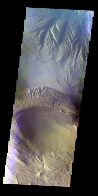 The THEMIS VIS camera contains 5 filters. The data from different filters can be combined in multiple ways to create a false color image. This false color image from NASA 2001 Mars Odyssey spacecraft shows part of Candor Chasma. Orbit Number: 6407 Latitude: -7.24526 Longitude: 292.303 Instrument: VIS Captured: 2003-05-25 22:52 http://photojournal.jpl.nasa.gov/catalog/PIA19265