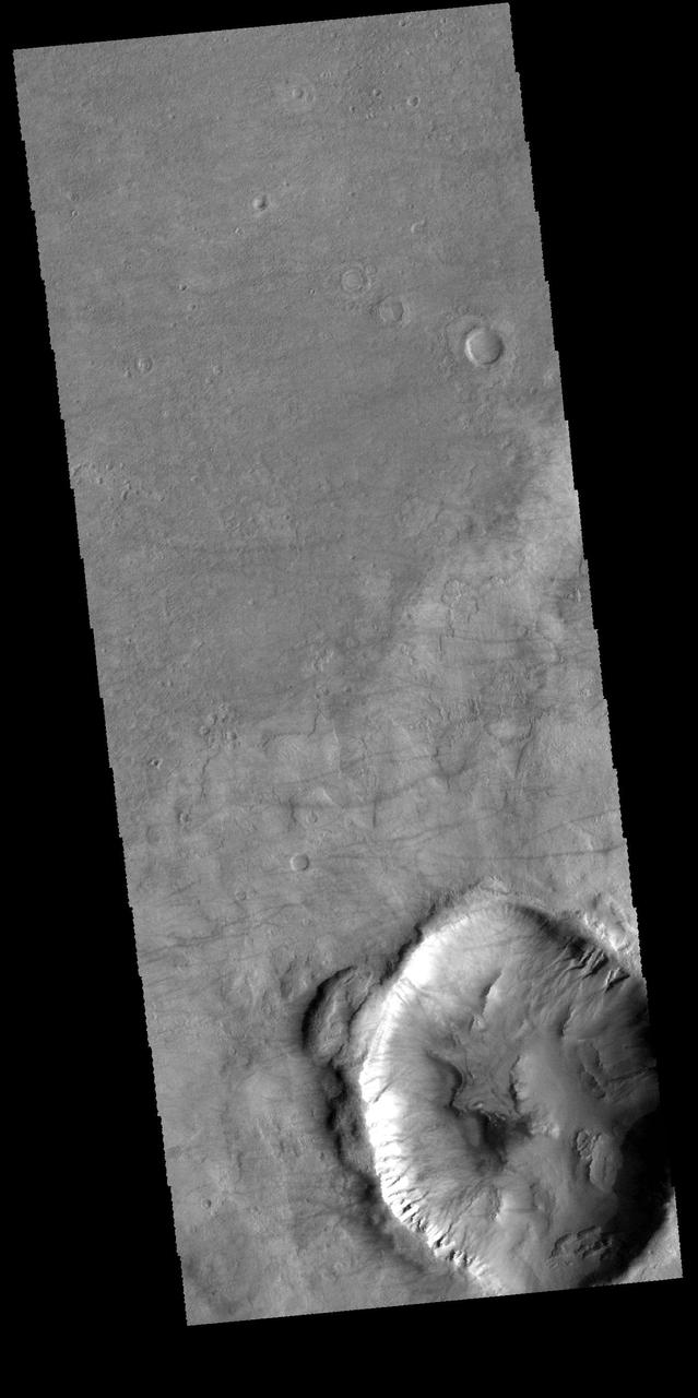 The faint dark lines in this image captured by NASA 2001 Mars Odyssey spacecraft are caused by dust devils. As the dust devil travels along the surface it scours away the loose surface dust, revealing the darker surface beneath.  Orbit Number: 58268 Latitude: -51.7254 Longitude: 17.0688 Instrument: VIS Captured: 2015-02-01 12:25  http://photojournal.jpl.nasa.gov/catalog/PIA19271