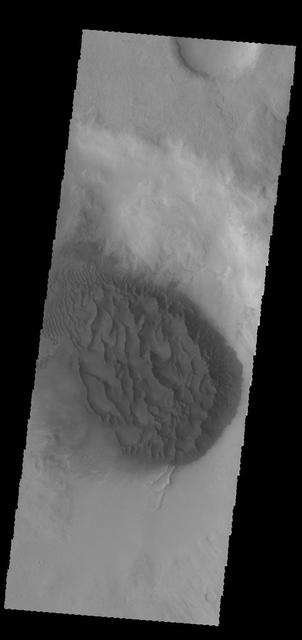 This image captured by NASA 2001 Mars Odyssey spacecraft shows a large sand sheet with surface dune forms on the floor of an unnamed crater in Noachis Terra. Orbit Number: 58336 Latitude: -48.6161 Longitude: 34.0534 Instrument: VIS Captured: 2015-02-07 02:22 http://photojournal.jpl.nasa.gov/catalog/PIA19275