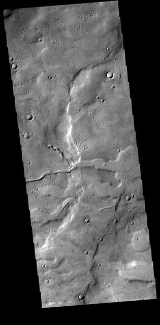 NASA image: Terra Cimmeria
