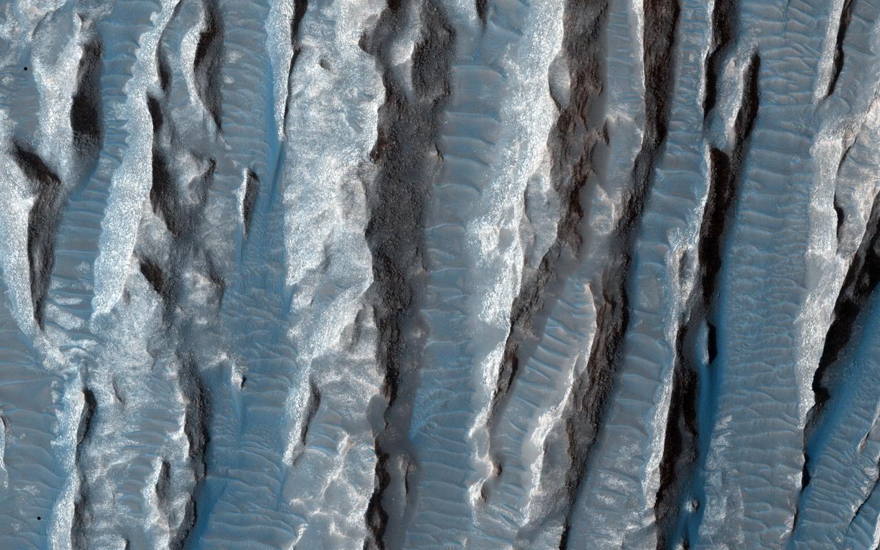 This view of Martian surface features shaped by effects of winds was captured by the High Resolution Imaging Science Experiment (HiRISE) camera on NASA's Mars Reconnaissance Orbiter on Jan. 4, 2015. The spacecraft has been orbiting Mars since March 2006. On Feb. 7, 2015, it completed its 40,000th orbit around Mars. Several terrain types converge in this scene from the Arsinoes Chaos region of Mars, which is in the far eastern portion of Mars' Valles Marineris canyon system. The jumbled chaos terrain is likely related to massive water-carved outflow channels that started in this area and flowed north onto Mars' northern plains. The slightly curving bright terrain is composed of yardangs. Yardangs are portions of rock that have been sandblasted into long, skinny ridges by saltating (or bouncing) sand particles blowing in the wind. Transverse sand ridges lie between the yardangs (zoom in). These sand ridges are termed "transverse aeolian ridges" and are not moving in Mars' current climate. They are a mystery -- midway in height between dunes (formed from saltating sand) and ripples (formed by "splashed" sand grains). The location is at 7 degrees south latitude, 332 degrees east latitude. The image is an excerpt from HiRISE observation ESP_039563_1730. http://photojournal.jpl.nasa.gov/catalog/PIA19291