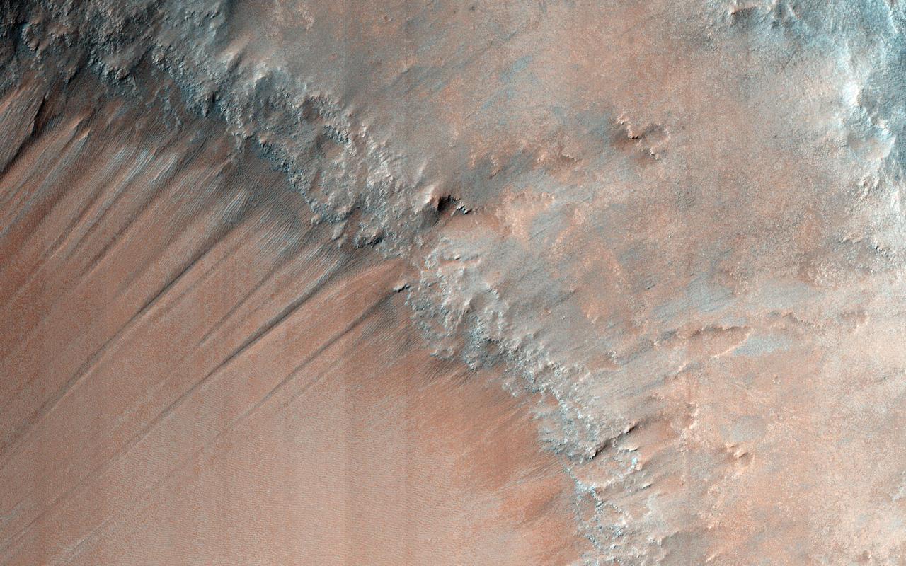 The gullies in this image are within the valley wall of an ancient channel-Nirgal Vallis-a testament to flowing water in Mars' ancient past. However, the formation of gullies are still the subject of much debate with respect to their formation: "wet" vs. "dry" or even "dry" with the aid of some lubricating fluid. Gullies most commonly form in the steep walls of simple craters. Gullies are common even in cold arctic deserts on Earth (e.g., the Haughton impact structure on Devon Island). This suggests that these provocative features can form on a mostly dry Mars that is only sporadically wet. Regardless, these features bear a remarkable resemblance to flowers, including the blossom, petals, stem, and roots. Can you see it too? http://photojournal.jpl.nasa.gov/catalog/PIA19294