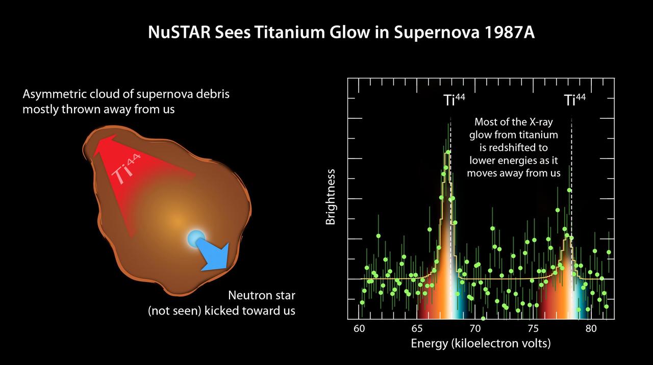 The plot of data from NASA's Nuclear Spectroscopic Telescope Array, or NuSTAR (right), amounts to a "smoking gun" of evidence in the mystery of how massive stars explode. The observations indicate that supernovae belonging to a class called Type II or core-collapse blast apart in a lopsided fashion, with the core of the star hurtling in one direction, and the ejected material mostly expanding the other way (see diagram in Figure 1). NuSTAR made the most precise measurements yet of a radioactive element, called titanium-44, in the supernova remnant called 1987A. NuSTAR sees high-energy X-rays, as shown here in the plot ranging from 60 to more than 80 kiloelectron volts. The spectral signature of titanium-44 is apparent as the two tall peaks. The white line shows where one would expect to see these spectral signatures if the titanium were not moving. The fact that the spectral peaks have shifted to lower energies indicates that the titanium has "redshifted," and is moving way from us. This is similar to what happens to a train's whistle as the train leaves the station. The whistle's sound shifts to lower frequencies. NuSTAR's detection of redshifted titanium reveals that the bulk of material ejected in the 1987A supernova is flying way from us at a velocity of 1.6 million miles per hour (2.6 million kilometers per hour). Had the explosion been spherical in nature, the titanium would have been seen flying uniformly in all directions. This is proof that this explosion occurred in an asymmetrical fashion. http://photojournal.jpl.nasa.gov/catalog/PIA19335