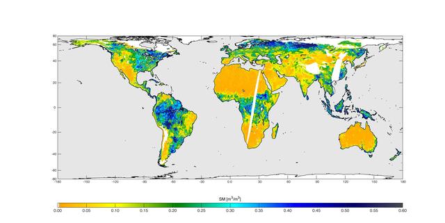 High-Resolution Global Soil Moisture Map