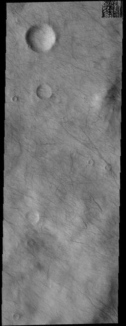 This image captured by NASA 2001 Mars Odyssey spacecraft shows a multitude of dust devil tracks. The dark linear marks record where the dust devil was in contact with the surface and removed dust revealing the darker surface below.  Orbit Number: 58616 Latitude: -66.6715 Longitude: 231.785 Instrument: VIS Captured: 2015-03-02 03:48  http://photojournal.jpl.nasa.gov/catalog/PIA19437