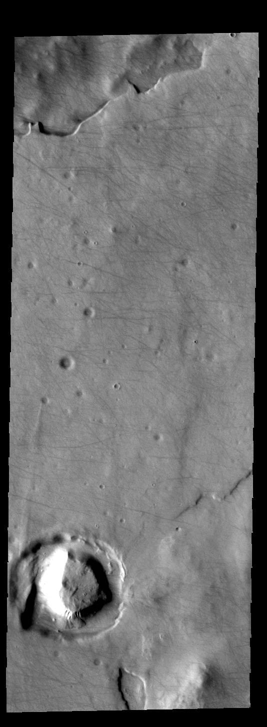 This image from NASA 2001 Mars Odyssey spacecraft shows dust devil tracks on the surface of Sisyphi Planum.  Orbit Number: 58886 Latitude: -69.1396 Longitude: 2.19479 Instrument: VIS Captured: 2015-03-24 09:23  http://photojournal.jpl.nasa.gov/catalog/PIA19453