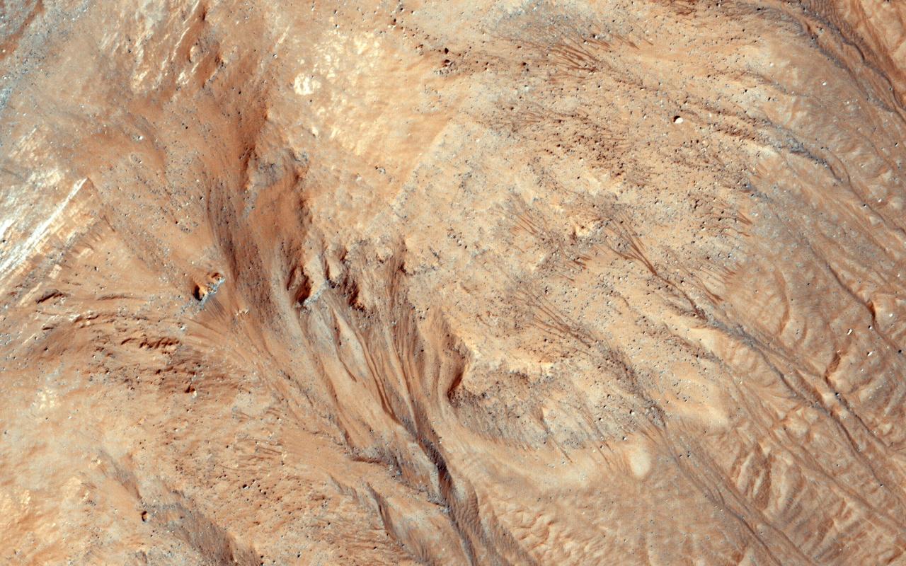 Ravines or very large gullies are actively forming on Mars during the coldest times of year, when carbon dioxide frost aids mass wasting as seen by NASA Mars Reconnaissance Orbiter.  However, some of these ravines also show activity in the warmest time of year, in the form of recurring slope lineae (RSL); dark, narrow flows in some alcoves that flow part way down the channels. Few topographic changes have been seen in association with RSL, and they appear to be seeps of water that seasonally extend down slopes, then fade when inactive, and recur each warm season. Could the RSL activity carve the ravines?  In some places the RSL extend to the ends of the fans and appear to match in scale, and perhaps gradually form the ravines. In other places, such as this image, the ravines are much larger than the RSL, so presently-observed RSL flow did not produce the larger landforms, but maybe the flow was greater in the past or maybe the RSL just follow the topography created by other processes.  The largest ravines are on pole-facing slopes in the middle latitudes, where RSL have never been seen to form, unless the ravine creates a small equator-facing slope.  http://photojournal.jpl.nasa.gov/catalog/PIA19458