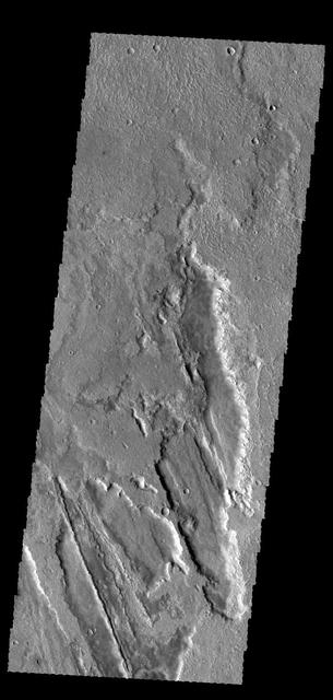 The lava flows in this VIS image are part of Daedalia Planum, a huge lava field that originates from Arsia Mons. Orbit Number: 59489 Latitude: -19.5001 Longitude: 258.333 Instrument: VIS Captured: 2015-05-13 00:48 http://photojournal.jpl.nasa.gov/catalog/PIA19722