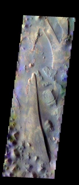 The THEMIS VIS camera contains 5 filters. The data from different filters can be combined in multiple ways to create a false color image. These false color images may reveal subtle variations of the surface not easily identified in a single band image. Today's false color image shows part of Aureum Chaos. Orbit Number: 9913 Latitude: -4.41938 Longitude: 333.031 Instrument: VIS Captured: 2004-03-09 13:43 http://photojournal.jpl.nasa.gov/catalog/PIA19750