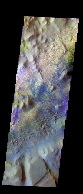 The THEMIS VIS camera contains 5 filters. The data from different filters can be combined in multiple ways to create a false color image. These false color images may reveal subtle variations of the surface not easily identified in a single band image. Today's false color image shows Iani Chaos. The material appearing as dark blue is likely sand that has been caught in the surface furrows.  Orbit Number: 10050 Latitude: -0.796182 Longitude: 341.51 Instrument: VIS Captured: 2004-03-20 20:24  http://photojournal.jpl.nasa.gov/catalog/PIA19753
