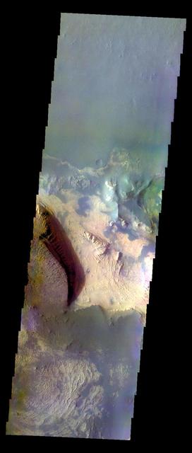 NASA image: Melas Chasma - False Color