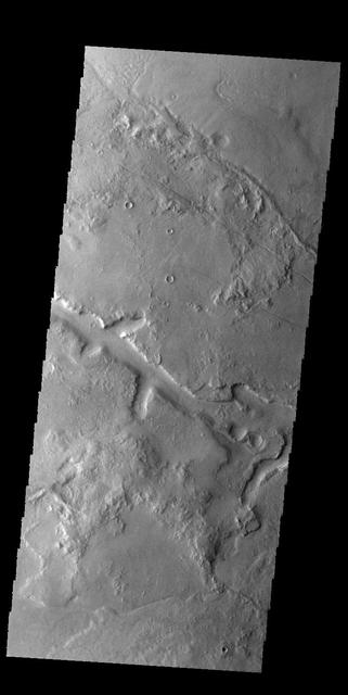 The linear depression in this image from NASA 2001 Mars Odyssey spacecraft is part of Galaxias Fossae.
