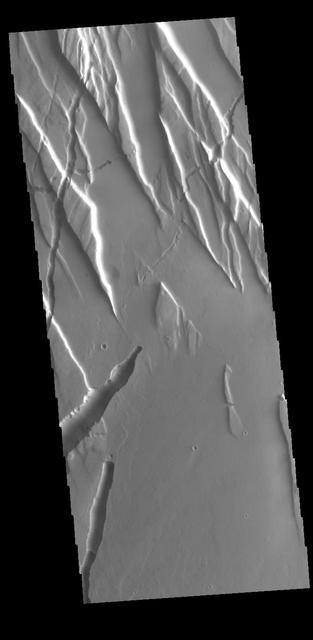 The graben and collapse features in this image are part of Ceraunius Fossae, which is located south of Alba Mons. Orbit Number: 60406 Latitude: 27.0278 Longitude: 249.29 Instrument: VIS Captured: 2015-07-27 14:05 http://photojournal.jpl.nasa.gov/catalog/PIA19767