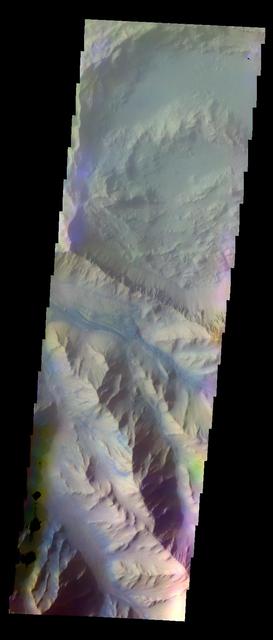 The THEMIS VIS camera contains 5 filters. The data from different filters can be combined in multiple ways to create a false color image. These false color images may reveal subtle variations of the surface not easily identified in a single band image. Today's false color image shows part of Coprates Chasma. Orbit Number: 10713 Latitude: -12.6203 Longitude: 294.663 Instrument: VIS Captured: 2004-05-14 10:33 http://photojournal.jpl.nasa.gov/catalog/PIA19771