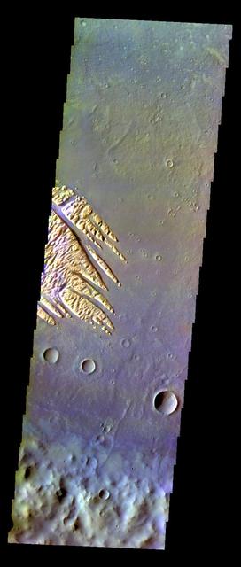 The THEMIS VIS camera contains 5 filters. The data from different filters can be combined in multiple ways to create a false color image. These false color images may reveal subtle variations of the surface not easily identified in a single band image. Today's false color image shows part of the floor of Pollack Crater, including part of the fill material located on the floor.  Orbit Number: 10947 Latitude: -8.06138 Longitude: 25.1671 Instrument: VIS Captured: 2004-06-02 16:54  http://photojournal.jpl.nasa.gov/catalog/PIA19776