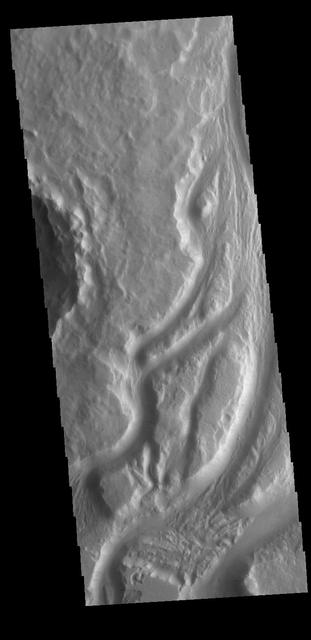 This VIS image shows part of the complex channel called Mengala Valles. The tear-drop shaped regions in the channel are called streamlined islands and the narrow "tail" points down stream. Orbit Number: 60732 Latitude: -5.55105 Longitude: 209.351 Instrument: VIS Captured: 2015-08-23 10:11 http://photojournal.jpl.nasa.gov/catalog/PIA19783
