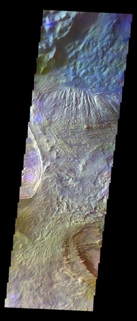 The THEMIS VIS camera contains 5 filters. The data from different filters can be combined in multiple ways to create a false color image. These false color images may reveal subtle variations of the surface not easily identified in a single band image. Today's false color image shows part of the floor of Candor Chasma. Orbit Number: 10963 Latitude: -5.19848 Longitude: 283.975 Instrument: VIS Captured: 2004-06-04 00:30 http://photojournal.jpl.nasa.gov/catalog/PIA19784