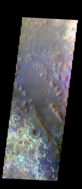 The THEMIS VIS camera contains 5 filters. The data from different filters can be combined in multiple ways to create a false color image. These false color images may reveal subtle variations of the surface not easily identified in a single band image. Today's false color image shows part of Mawrth Valles, near to the point where it empties into Chryse Planitia. Orbit Number: 11060 Latitude: 25.6292 Longitude: 341.23 Instrument: VIS Captured: 2004-06-12 01:58 http://photojournal.jpl.nasa.gov/catalog/PIA19785
