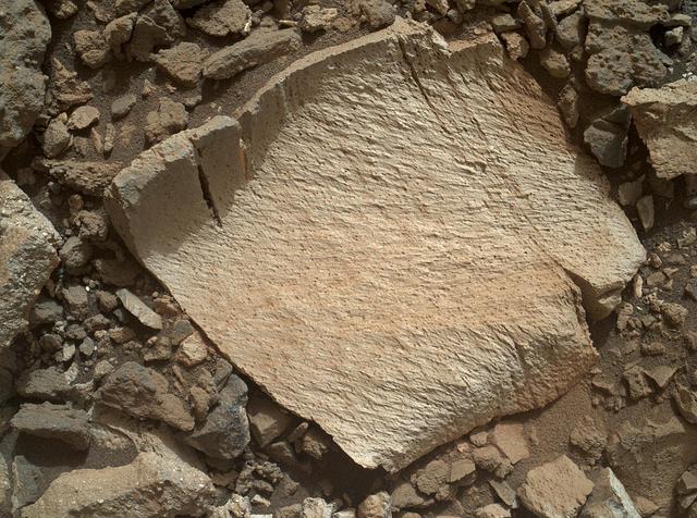 A rock fragment dubbed "Lamoose" is shown in this picture taken by the Mars Hand Lens Imager (MAHLI) on NASA's Curiosity rover. Like other nearby rocks in a portion of the "Marias Pass" area of Mt. Sharp, Mars, it has unusually high concentrations of silica. The high silica was first detected in the area by the Chemistry & Camera (ChemCam) laser spectrometer. This rock was targeted for follow-up study by the MAHLI and the arm-mounted Alpha Particle X-ray Spectrometer (APXS).  Silica is a rock-forming compound containing silicon and oxygen, commonly found on Earth as quartz. High levels of silica could indicate ideal conditions for preserving ancient organic material, if present, so the science team wants to take a closer look.  The rock is about 4 inches (10 centimeters) across. It is fine-grained, perhaps finely layered, and etched by the wind. The image was taken on the 1,041st Martian day, or sol, of the mission (July 11, 2015).  MAHLI was built by Malin Space Science Systems, San Diego. NASA's Jet Propulsion Laboratory, a division of the California Institute of Technology in Pasadena, manages the Mars Science Laboratory Project for the NASA Science Mission Directorate, Washington. JPL designed and built the project's Curiosity rover.  http://photojournal.jpl.nasa.gov/catalog/PIA19828
