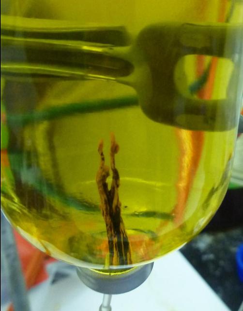 A laboratory-created "chemical garden" made of a combination of black iron sulfide and orange iron hydroxide/oxide is shown in this photo. Chemical gardens are a nickname for chimney-like structures that form at bubbling vents on the seafloor. Some researchers think that life may have originated at structures like these billions of years ago.  JPL's research team is part of the Icy Worlds team of the NASA Astrobiology Institute, based at NASA's Ames Research Center in Moffett Field, California. JPL is managed by the California Institute of Technology in Pasadena for NASA.  http://photojournal.jpl.nasa.gov/catalog/PIA19835