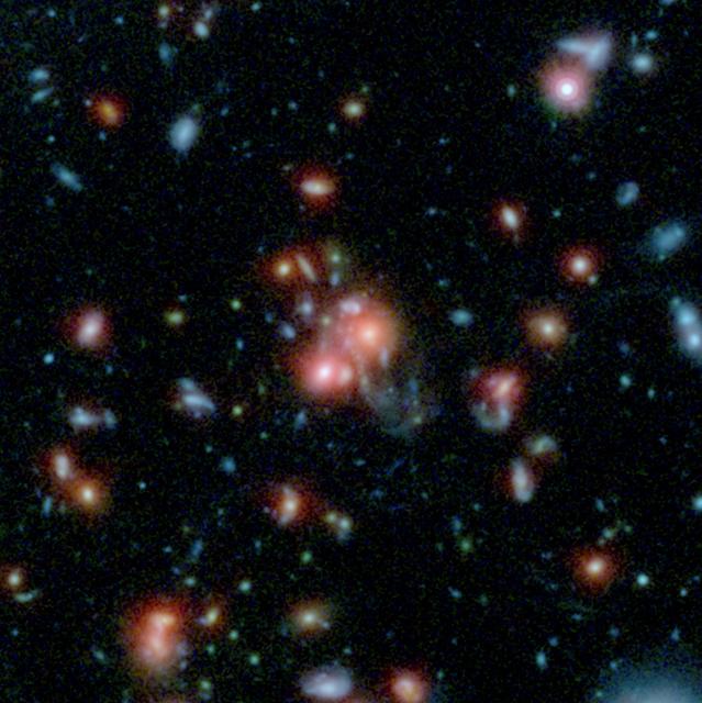 NASA image: What Feeds the Beast in a Galaxy Cluster?
