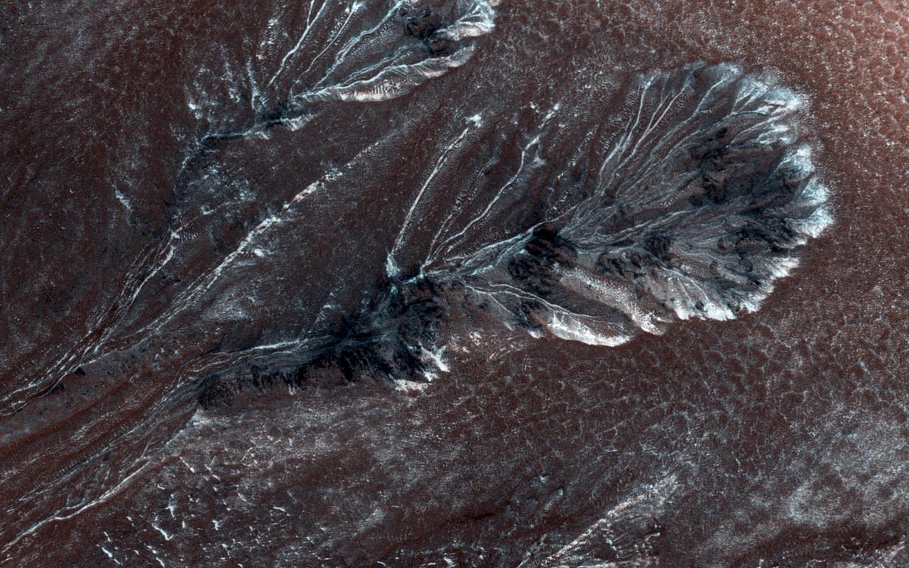 Seasonal frost commonly forms at middle and high latitudes on Mars, much like winter snow on Earth. However, on Mars most frost is carbon dioxide dry ice rather than water ice. This image is from NASA Mars Reconnaissance Orbiter. This image shows frost in gully alcoves in a crater on the Northern plains. The frost highlights details of the alcoves, since it forms in different amounts depending on slopes and shadows as well as the type of material making up the ground. Rugged rock outcrops appear dark and shadowed, while frost highlights the upper alcove and the steepest route down the slope. Most changes associated with gullies are observed in the Southern hemisphere. However, some are seen in the Northern hemisphere, where steep slopes are less common. HiRISE is monitoring these gullies to look for changes and to understand the behavior of the frost. http://photojournal.jpl.nasa.gov/catalog/PIA19852