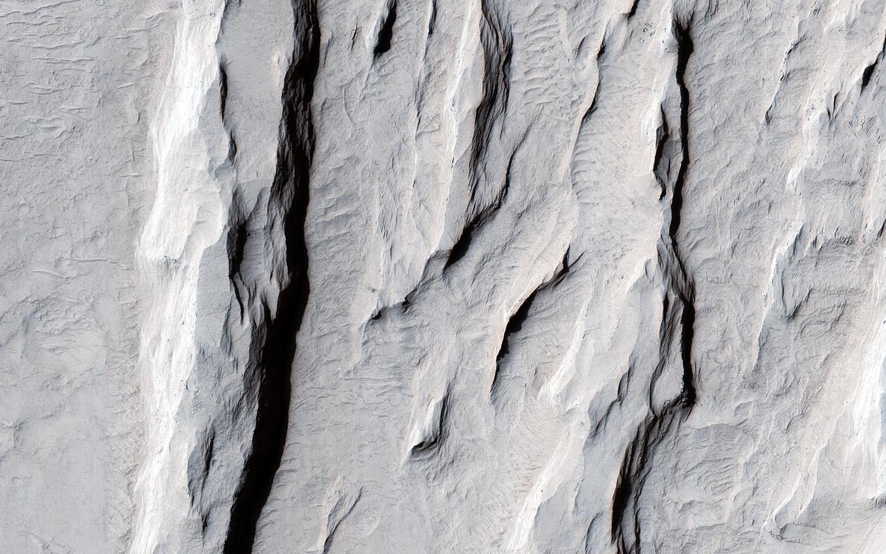 This image from NASA Mars Reconnaissance Orbiter spacecraft nicely captures several influential geologic processes that have shaped the landscape of Lycus Sulci. Our observation covers an area of about 7.5 by 5.4 kilometers in Lycus Sulci, located just to the northwest of Olympus Mons in the Tharsis region of Mars. "Sulci" is a Latin term meaning "furrow" or "groove." In this case, Lycus Sulci is a region comprised of a series of depressions and ridges. Like most of the Tharsis region, Lycus Sulci exhibits thick deposits of light-toned Martian dust; the slopes on ridges in this region feature abundant streaks. These streaks are long, thin dark-toned features. They appear when the superficial light-tone fine-grained materials (i.e., Martian dust) suddenly move down slope and expose the darker underlying volcanic surfaces. Repeat imaging shows that dust streaks are consistently dark when they are initially formed and become lighter over time. This is due to the steady deposition of dust from the atmosphere. Slope streaks are also visible along the slopes of ridges and shallow depressions. Two ridges here exhibit partially exposed bedrock. These outcrops are interpreted to still have abundant coatings and dust, obscuring the underlying bedrock. This interpretation is based on the lack of bluish color for volcanic bedrock from the infrared-red-blue swath of our camera, and consistent with the homogenous tannish color we see throughout the same swath. It's possible that the ridges here and throughout the Lycus Sulci region formed via volcanic and tectonic processes, which have been further sculpted by wind erosion and other mass wasting processes. For example, talus slopes, which appear as fine-grained fans or conical-shaped deposits, originate from the steepest portions of the ridges. These form when the rocks or deposits on the steepest slopes of a ridge fail under the influence of Martian gravity and their own mass, causing an avalanche of these materials, which then accumulate downslope. http://photojournal.jpl.nasa.gov/catalog/PIA19870