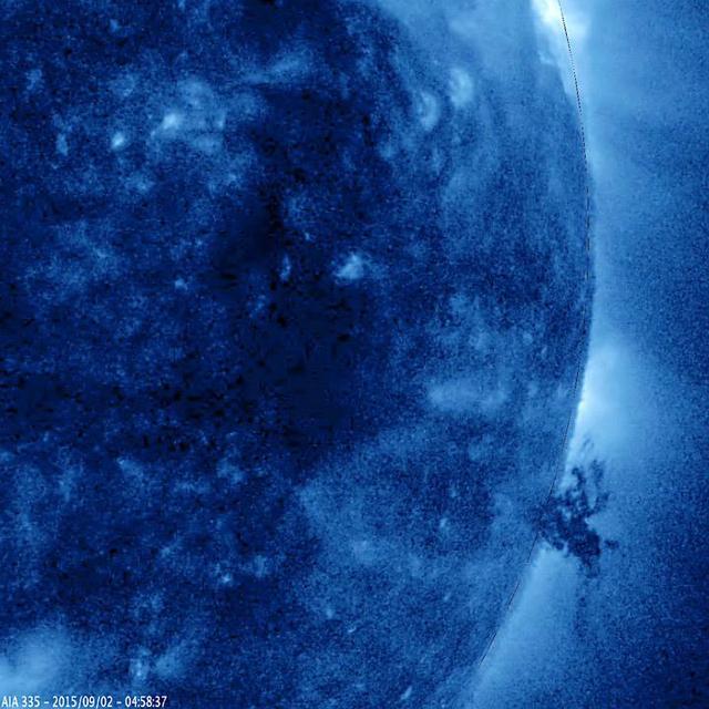 A small, but complex mass of plasma gyrated and spun about over the course of 40 hours above the surface of the Sun (Sept. 1-3, 2015). It was stretched and pulled back and forth by powerful magnetic forces but not ripped apart in this sequence. The temperature of the ionized iron particles observed in this extreme ultraviolet wavelength of light was about 2.8 million degrees C. (or 5 million degrees F.)   http://photojournal.jpl.nasa.gov/catalog/PIA19878