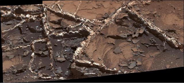 Prominent mineral veins at the "Garden City" site examined by NASA's Curiosity Mars rover vary in thickness and brightness, as seen in this image from Curiosity's Mast Camera (Mastcam).  The image covers and area roughly 2 feet (60 centimeters) across. Types of vein material evident in the area include:     1) thin, dark-toned fracture filling material;     2) thick, dark-toned vein material in large fractures;     3) light-toned vein material, which was deposited last.  Figure 1 includes annotations identifying each of those three major kinds and a scale bar indicating 10 centimeters (3.9 inches).  Researchers used the Mastcam and other instruments on Curiosity in March and April 2015 to study the structure and composition of mineral veins at Garden City, for information about fluids that deposited minerals in fractured rock there.  Malin Space Science Systems, San Diego, built and operates Curiosity's Mastcam. NASA's Jet Propulsion Laboratory, a division of the California Institute of Technology, Pasadena, built the rover and manages the project for NASA's Science Mission Directorate, Washington.  http://photojournal.jpl.nasa.gov/catalog/PIA19922