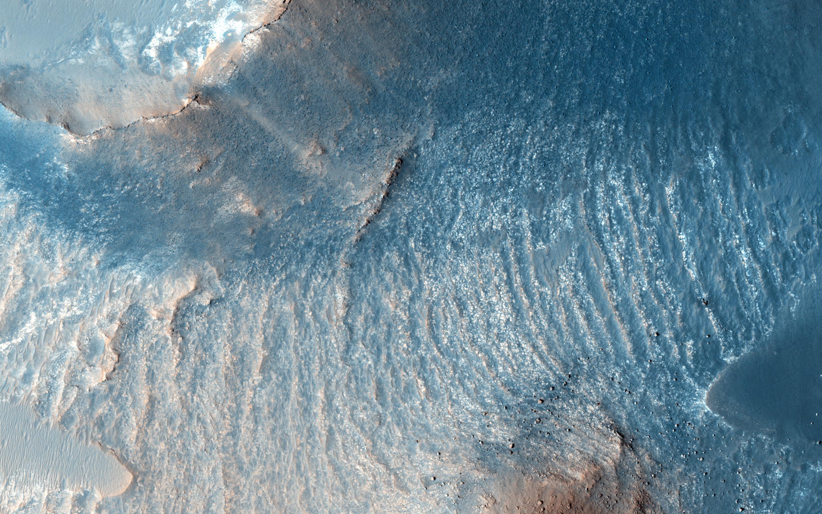 A variety of diverse morphological features are present in this image located in the southeastern area of the Nili Fossae region and just northeast of Syrtis Major as seen by NASA Mars Reconnaissance Orbiter spacecraft.
