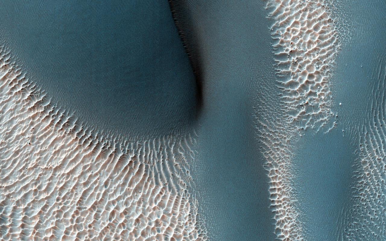 The workings of the Martian winds are visible in this image of sand dunes trapped inside an unnamed crater in southern Terra Cimmeria captured by NASA Mars Reconnaissance Orbiter spacecraft.  Many of the craters in the Southern highlands of Mars contain sand dunes, and HiRISE is still in the process of mapping these dunes and determining how active they are today. So far, the dunes in these craters appear to be a mixed bunch, with some dunes actively advancing while others seem to be frozen in place. This image will be compared to a previous picture, to see how these dunes have changed since 2008.  The sand dunes are the large, branched ridges and dark patches that are conspicuous against the bright background, particularly in the northwest corner of our picture. There are also signs of two other wind-related processes: smaller, brighter ridges line the floor of the crater in regularly spaced rows. These are also windblown deposits, mysterious "transverse aeolian ridges" or TARs that are more common in the Martian tropics. Faint, irregular dark lines cross the dunes and the TARs, marking the tracks of dust devils that vacuum the surface during southern summer. So, which came first? We can untangle the history of these processes by looking at the picture more closely.  Over most of the image, it is obvious that the dark sand dunes bury the bright TARs, meaning that the sand dunes are younger than the TARs. But this relationship is not so clear for the southernmost dune we see in this picture. Here, the TARs look like they extend into the dune and merge with ripples on the dune's surface, suggesting that the TARs might be younger than the dunes. The question can be resolved by carefully examining an enhanced color cutout. The TARs are brighter and redder than the sand dunes and this color persists on the crests of the TARs as the sand encroaches, burying the valleys first and then the slopes and finally the TAR crests. This tells us that the unusual appearance of the dune margin is caused by burial and exposure of the older TARs by the younger sand. Finally, you can trace the tracks of dust devils crossing over the dunes, telling us that they are younger than the dunes.  So, first came the TARs, next the dunes, and last the dust devils -- probably within the last few months!  http://photojournal.jpl.nasa.gov/catalog/?IDNumber=pia19941