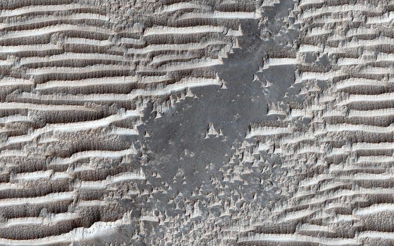 These strange features in Syria Planum are still being widely debated. They have the same general form as transverse aeolian ridges (TARs) elsewhere on Mars; windblown deposits that are common in the Martian tropics. Their height and spacing are similar to the more familiar looking TARs in other places, and they are similarly bright. Unless Nature is perverse, they were both made by the same process. Yet the TARs here in Syria Planum appear different than typical TARs elsewhere on the planet. They have blunt edges, in contrast to the tapering ends of typical TARs. The ridge crests are serrated, unlike the smooth crests of most TARs. They are layered on their upwind faces and scoured on the downwind sides, whereas TARs are usually smooth and symmetric. Why are these TARs bizarre? A possible answer is that the features here in Syria Planum are at a different stage of evolution than TARs elsewhere, and are either younger or older than typical TARs. We can look at an enhanced color cutout to see whether this can be the case. http://photojournal.jpl.nasa.gov/catalog/PIA19942