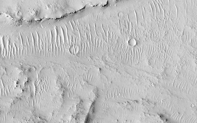 NASA image: Kasei Valles