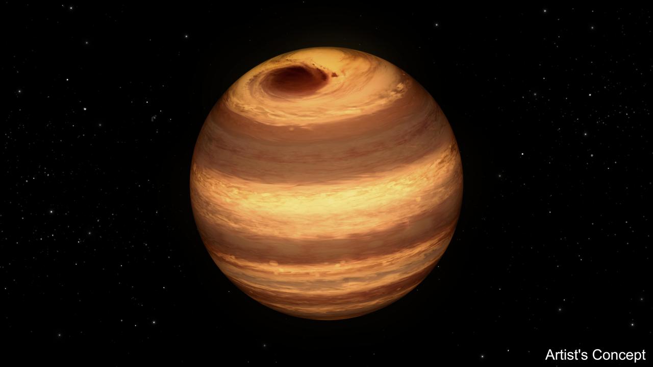 This illustration shows a cool star, called W1906+40, marked by a raging storm near one of its poles. The storm is thought to be similar to the Great Red Spot on Jupiter. Scientists discovered it using NASA's Kepler and Spitzer space telescopes. The location of the storm is estimated to be near the north pole of the star based on computer models of the data. The telescopes cannot see the storm itself, but learned of its presence after observing how the star's light changes over time. The storm travels around with the star, making a full lap about every 9 hours. When it passes into a telescope's field of view, it causes light of particular infrared and visible wavelengths to dip in brightness. The storm has persisted for at least two years. Astronomers aren't sure why it has lasted so long. While planets are known to have cloudy storms, this is the best evidence yet for a star with the same type of storm. The star, W1906+40, belongs to a thermally cool class of objects called L-dwarfs. Some L-dwarfs are considered stars because they fuse atoms and generate light, as our sun does, while others, called brown dwarfs, are known as "failed stars" for their lack of atomic fusion. The L-dwarf W1906+40 is thought to be a star based on estimates of its age (the older the L-dwarf, the more likely it is a star). Its temperature is about 2,200 Kelvin (3,500 degrees Fahrenheit). That may sound scorching hot, but as far as stars go, it is relatively cool. Cool enough, in fact, for clouds to form in its atmosphere. W1906+40 is located 53 light-years away in the constellation Lyra. http://photojournal.jpl.nasa.gov/catalog/PIA20055
