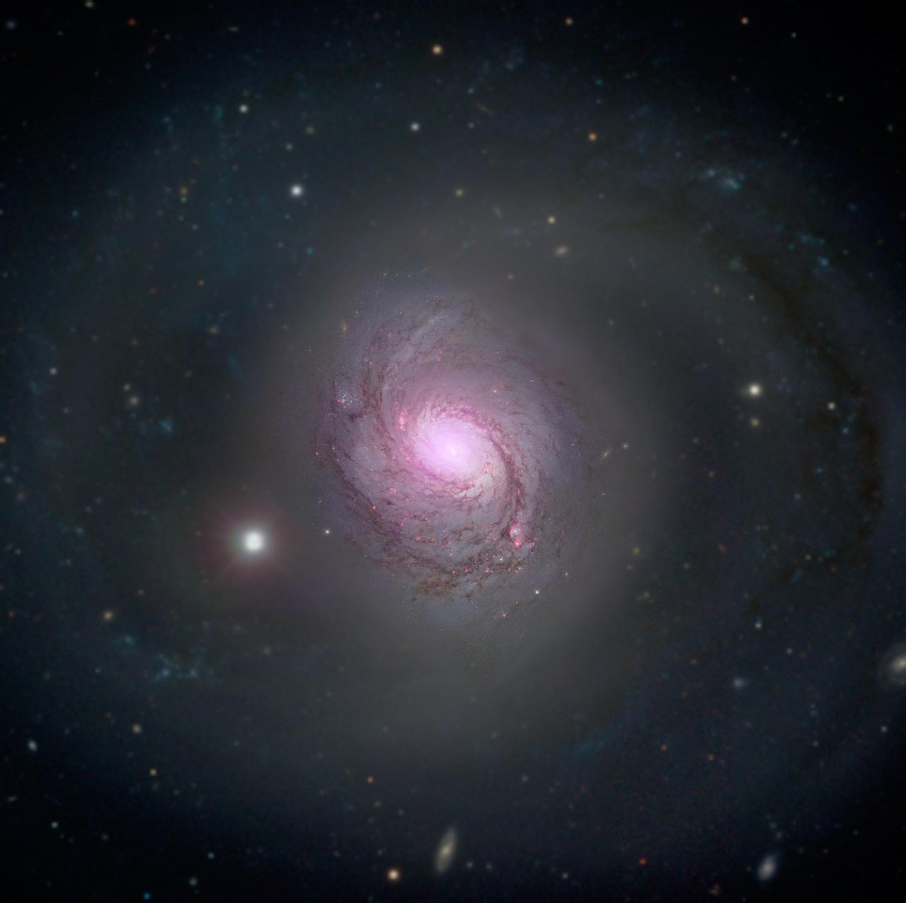 Galaxy NGC 1068 is shown in visible light and X-rays in this composite image. High-energy X-rays (magenta) captured by NASA's Nuclear Spectroscopic Telescope Array, or NuSTAR, are overlaid on visible-light images from both NASA's Hubble Space Telescope and the Sloan Digital Sky Survey. The X-ray light is coming from an active supermassive black hole, also known as a quasar, in the center of the galaxy. This supermassive black hole has been extensively studied due to its relatively close proximity to our galaxy. NGC 1068 is about 47 million light-years away in the constellation Cetus.  The supermassive black hole is also one of the most obscured known, blanketed by thick clouds of gas and dust. NuSTAR's high-energy X-ray view is the first to penetrate the walls of this black hole's hidden lair.  http://photojournal.jpl.nasa.gov/catalog/PIA20057