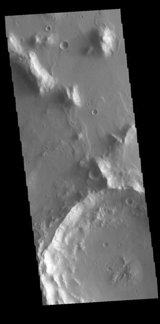 Dark streaks are visible on the slopes of hills and crater rims in Amazonis Planitia. It is thought that the removal of dust by downslope movement reveals the darker rocks beneath.  Orbit Number: 60745 Latitude: 13.62 Longitude: 191.678 Instrument: VIS Captured: 2015-08-24 11:59  http://photojournal.jpl.nasa.gov/catalog/PIA20072