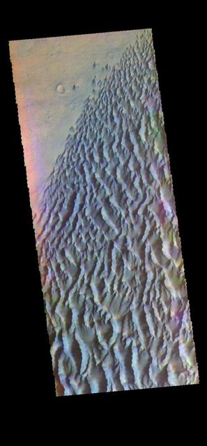 The THEMIS VIS camera contains 5 filters. The data from different filters can be combined in multiple ways to create a false color image. These false color images may reveal subtle variations of the surface not easily identified in a single band image. Today's false color image shows part of the dune field on the floor of Proctor Crater. Orbit Number: 58592 Latitude: -47.5967 Longitude: 30.0732 Instrument: VIS Captured: 2015-02-28 04:43 http://photojournal.jpl.nasa.gov/catalog/PIA20074