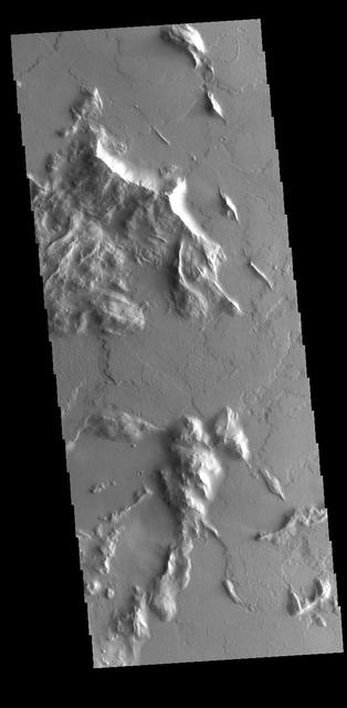 Ridges and Flows