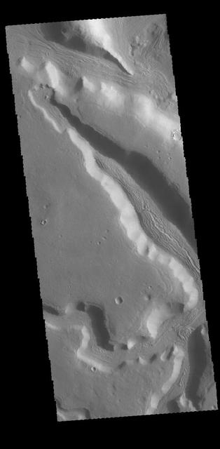 Today's VIS image shows a number of unnamed channels located on the northeastern margin of Terra Sabaea.  Orbit Number: 61049 Latitude: 33.5036 Longitude: 58.6967 Instrument: VIS Captured: 2015-09-18 12:54  http://photojournal.jpl.nasa.gov/catalog/PIA20097