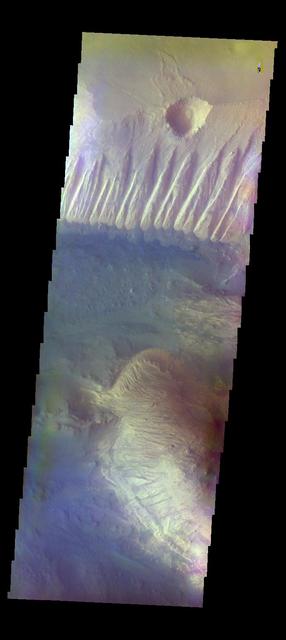 The THEMIS VIS camera contains 5 filters. The data from different filters can be combined in multiple ways to create a false color image. These false color images may reveal subtle variations of the surface not easily identified in a single band image. Today's false color image shows part of Candor Chasma. The bright tones in this image are the canyon walls, the bluer material is sand and other debris on the canyon floor. Orbit Number: 15156 Latitude: -6.9737 Longitude: 288.593 Instrument: VIS Captured: 2005-05-15 05:54 http://photojournal.jpl.nasa.gov/catalog/PIA20103