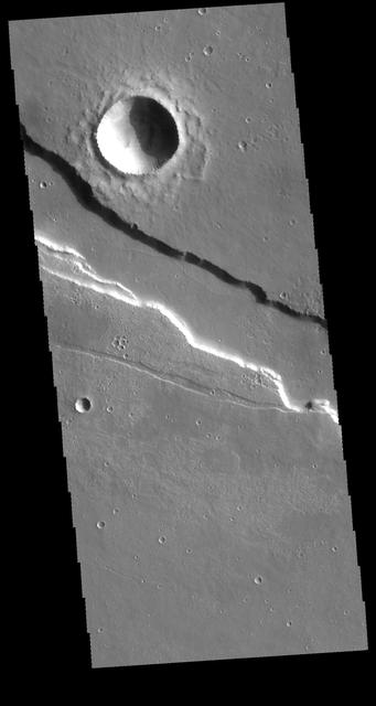NASA image: Elysium Fossae