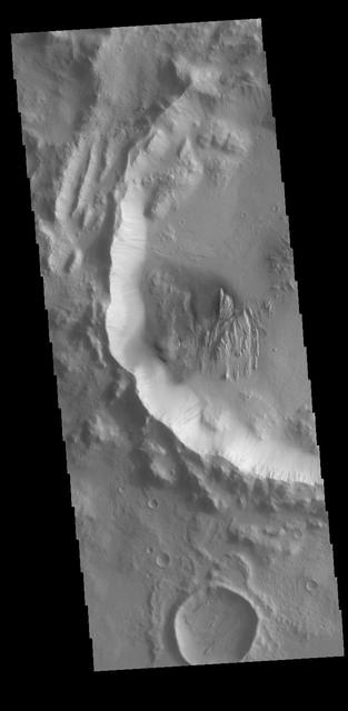 Dark Slope Streaks