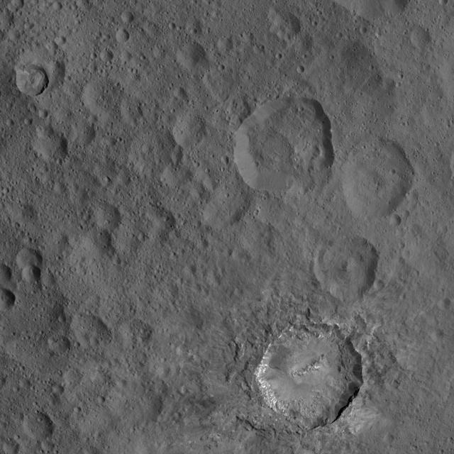 This view from NASA Dawn spacecraft includes Haulani, a relatively fresh crater 19 miles 31 kilometers in diameter. The interior of Haulani shows landslides from its crater rim, along with smooth material and a central ridge on its crater floor. The image was taken from a spacecraft altitude of 918 miles (1,478 kilometers) during Dawn's High Altitude Mapping Orbit (HAMO) phase on Oct. 6, 2015. Image resolution is 394 feet (120 meters) per pixel. http://photojournal.jpl.nasa.gov/catalog/PIA20146