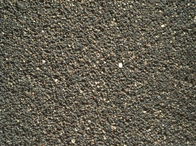 This view of the undisturbed surface of a Martian sand dune called "High Dune" visited by NASA's Curiosity rover shows coarse grains remaining on the surface after wind removal of smaller particles. The image covers an area 1.4 inches by 1.1 inches (3.6 by 2.7 centimeters). It was taken by the Mars Hand Lens Imager (MAHLI) camera on the rover's arm on Dec. 5, 2015, during the 1,184th Martian day, or sol, of Curiosity's work on Mars. The imaged location is near the base of the dune. High Dune, in the Bagnold Dunes field skirting the northwestern flank of Mount Sharp, is the first sand dune studied in place anywhere except Earth. What distinguishes actual dunes from windblown ripples of sand or dust, like those found at several sites visited previously by Mars rovers, is that dunes form a downwind face steep enough for sand to slide down. http://photojournal.jpl.nasa.gov/catalog/PIA20171