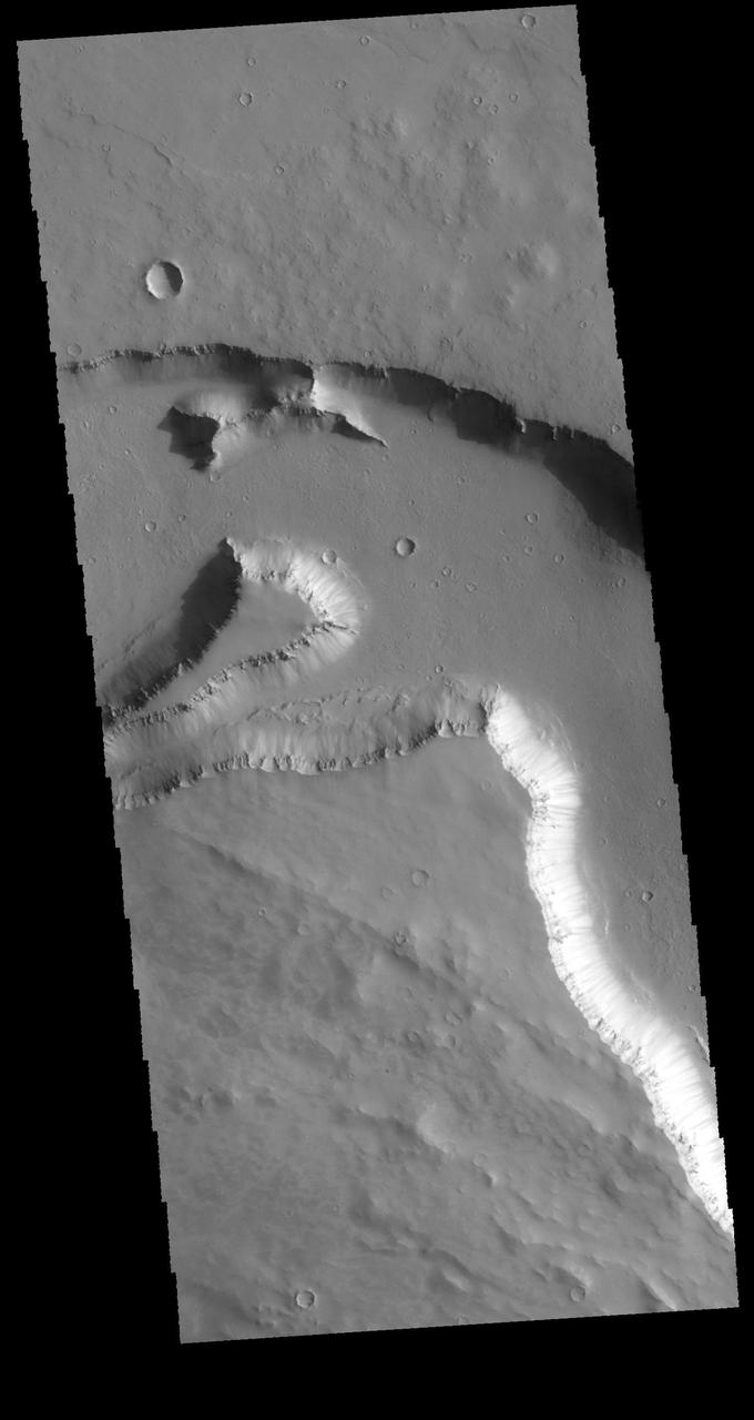 Elysium Fossae